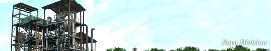 soyadivision